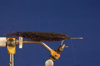 Fly tying - BLACK WIDOW - Step 4