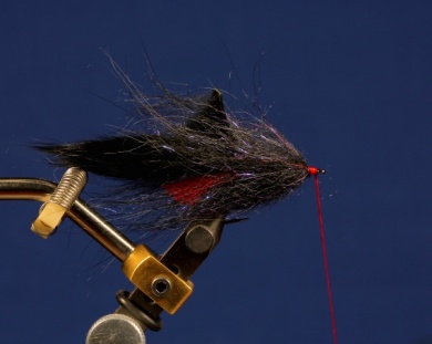 Fly tying - Nacho Flex - Step 4