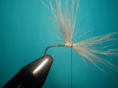 Fly tying - Split forward hackles - Step 3