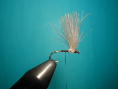 Fly tying - Split forward hackles - Step 6