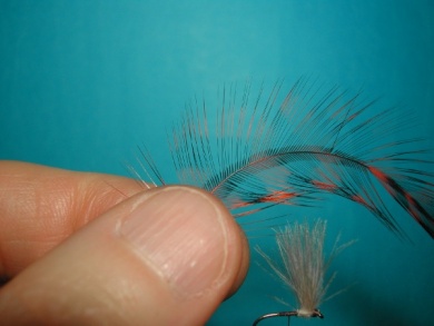 Fly tying - Split forward hackles - Step 7