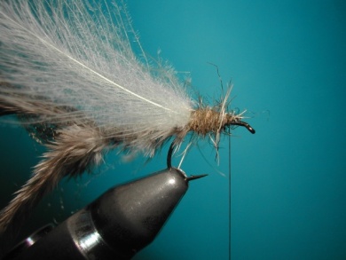 Fly tying - CDC still born - Step 8