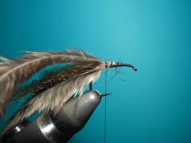 Fly tying - CDC still born - Step 3