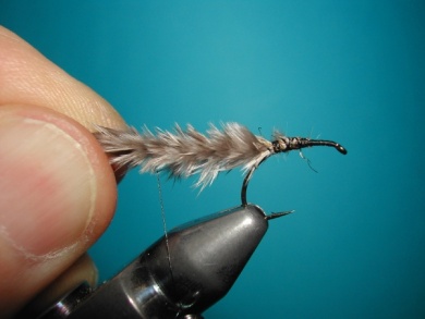 Fly tying - CDC still born - Step 4