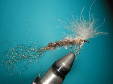 Fly tying - CDC still born - Step 15