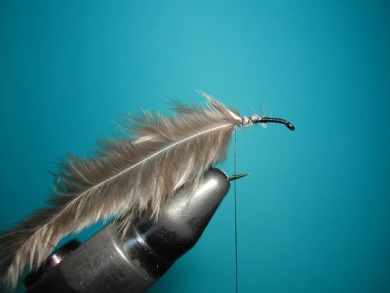 Fly tying - CDC still born - Step 1