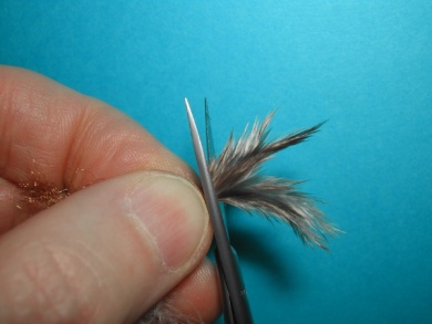 Fly tying - CDC still born - Step 14