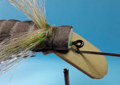 Fly tying - Chicharra DLT - Step 13