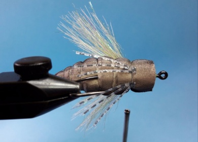 Fly tying - Chicharra DLT - Step 12