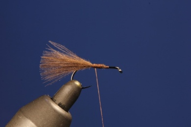 Fly tying - M.M. STONE PALITO - Step 2