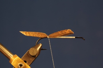 Fly tying - Muddler Minnow - Step 1