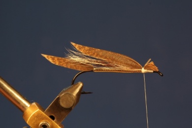 Fly tying - Muddler Minnow - Step 5