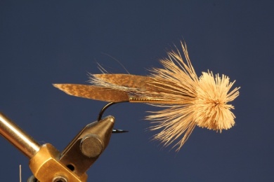 Fly tying - Muddler Minnow - Step 7