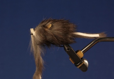 Fly tying - RATONTITO - Step 8