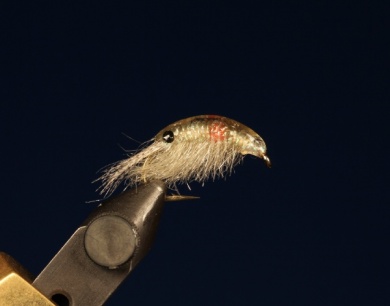 Fly tying - M.M. Flashabou Scud - Step 9