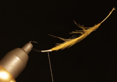 Fly tying - FATAL DUN - Step 2