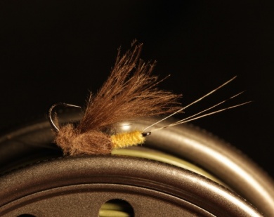 Fly tying - FATAL DUN - Step 10