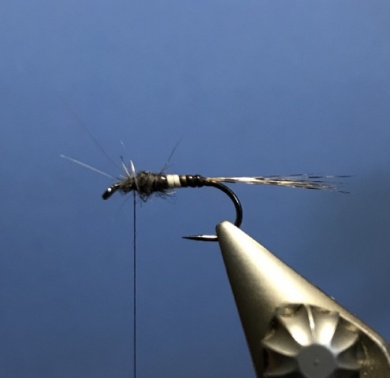 Fly tying - Efimera de pecarí y cdc - Step 3