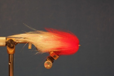Fly tying - RED DOLLY - Step 12