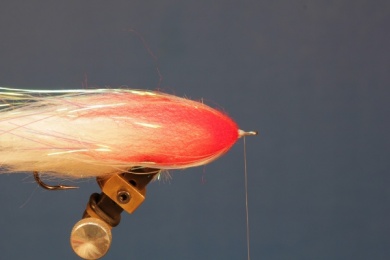 Fly tying - RED DOLLY - Step 11