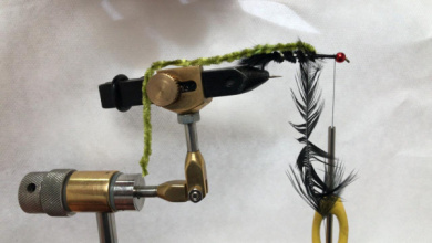 Fly tying - Campeona - Step 4