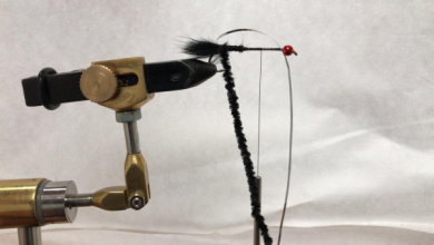 Fly tying - Campeona - Step 2