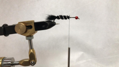 Fly tying - Campeona - Step 3