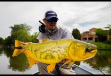 Golden Dorado